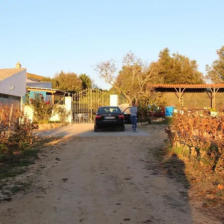 Wine House Κατάλυμα σε φάρμα Lagoa (Algarve)