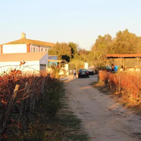Wine House Lagoa (Algarve)