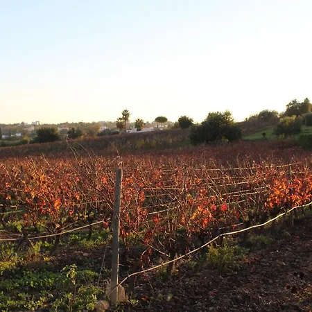 Wine House * Lagoa (Algarve)