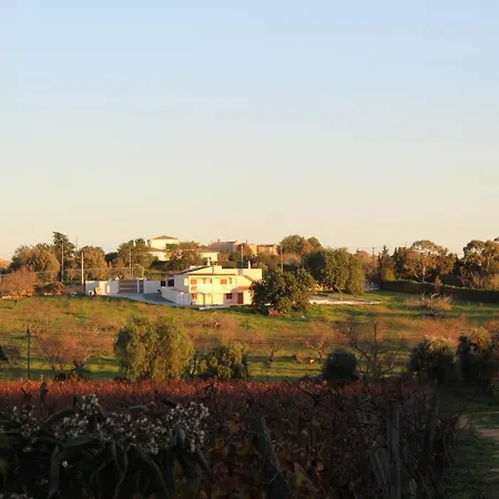 Wine House Alojamento de Turismo Rural *