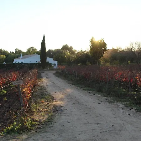 Alojamento de Turismo Rural Wine House